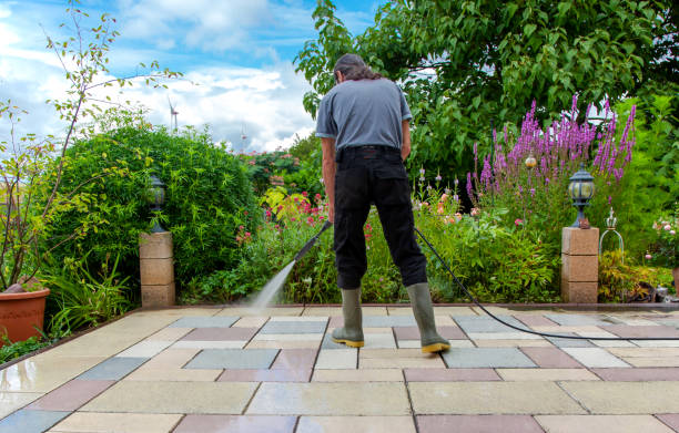 Best Winterizing Services  in Petersburg, WV