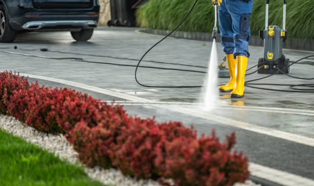 Best Building Exterior Washing  in Petersburg, WV